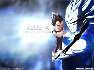 vegeta_001.jpg